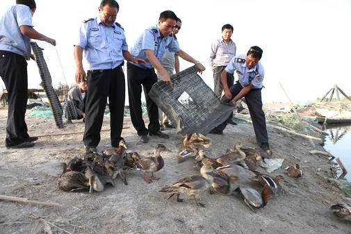 问为什么捐钱放生而不去救助失学儿童?