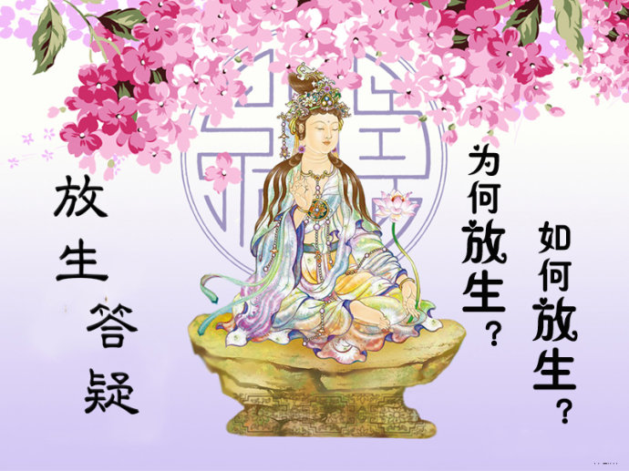 ��̷��������塢ʵʩ��ע������