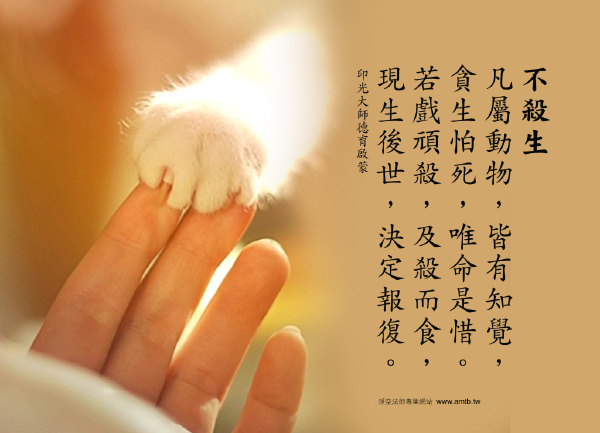 杀生吃肉会致多病、短命---为何杀生的罪业会特别大