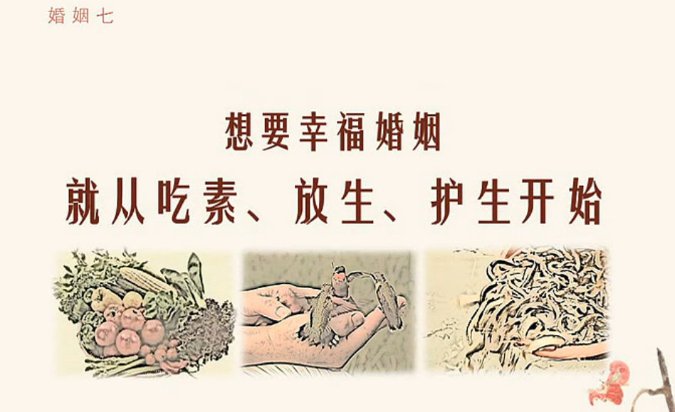 借钱放生,母癌得愈——奇迹震撼人心,人人都可实践!
