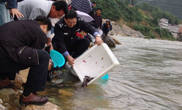 放生与治病的真实原理(好文推荐)
