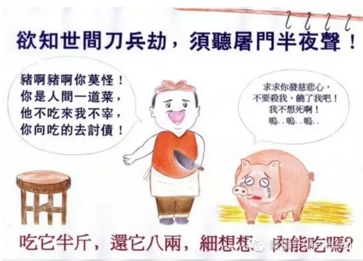 【戒杀吃素】人们对于食肉,普遍存在这么两种根深蒂固的误解