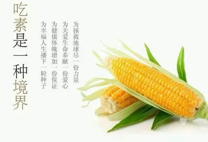 科学证实人一直以来都是素食动物