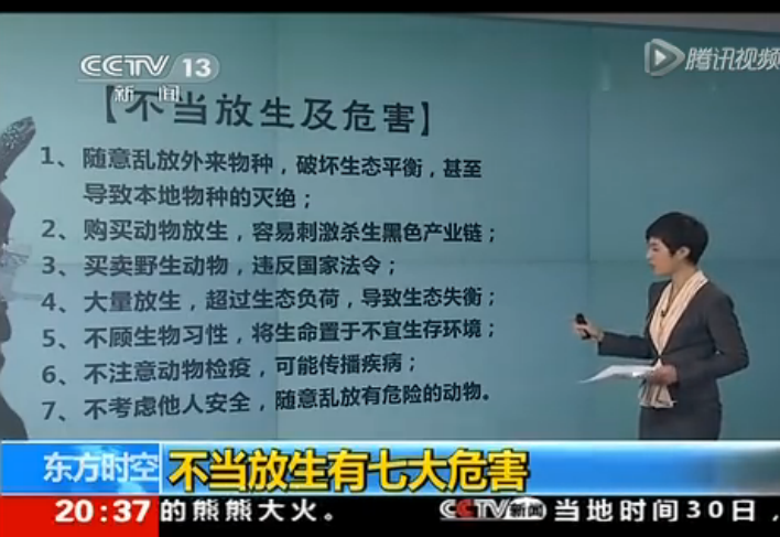 怎样放生才有好的效果?放生的感应福报什么时候到来