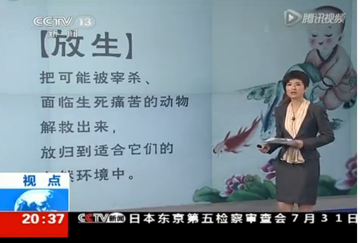 怎样放生才有好的效果?放生的感应福报什么时候到来