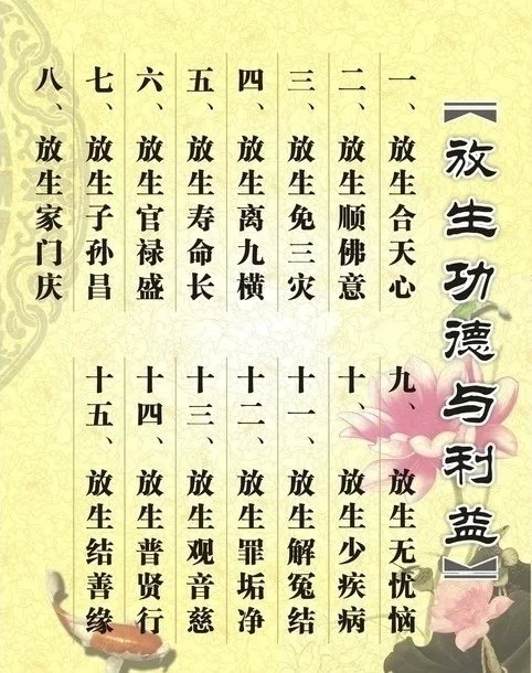 在城市的上班族应该如何放生?