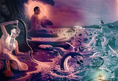 只有阅读经典原文,你才能真正体会到佛陀的伟大与佛经的魅力