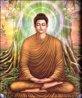 ���ӵĳɵ�֮·Ҳ�������ĳɵ�֮·