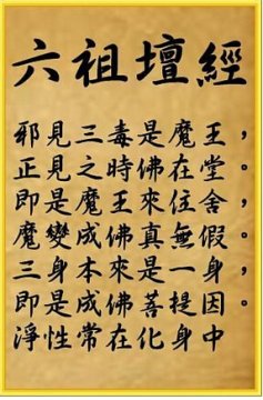 ë�󶫸߶����ۡ�����̳����-��������