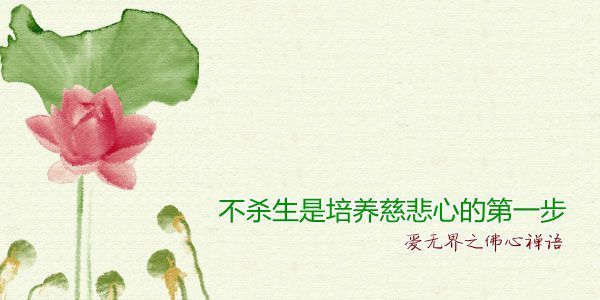 吃素的四十八个理由