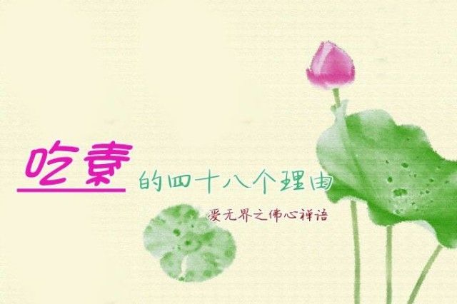 吃素的四十八个理由