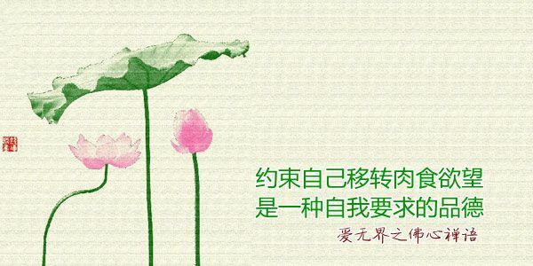 吃素的四十八个理由