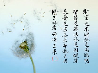 学佛开智慧--财富由布施福业而来
