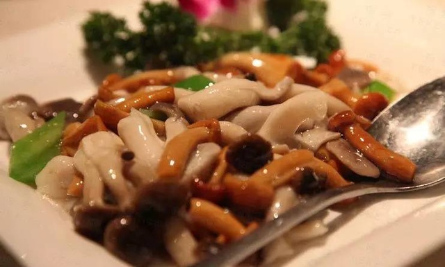 素食心得
