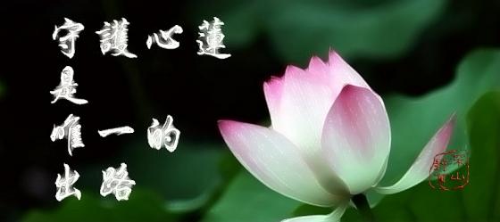 ���ӵĸ���--�������ȱ����ǻۡ��Ƹ����Ҹ�����