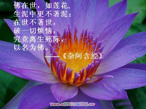 中佛协会长学诚法师:佛陀不是神灵,而是导师