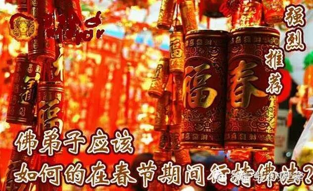 春节期间我们佛弟子吃素放生