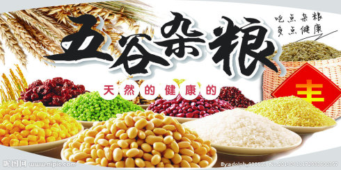 春节素食养生