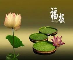佛医是最好的医药
