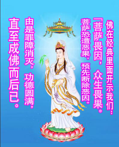 观音菩萨因果