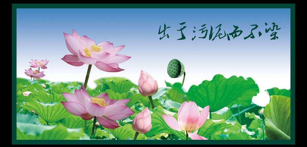 老师学佛学生成绩好