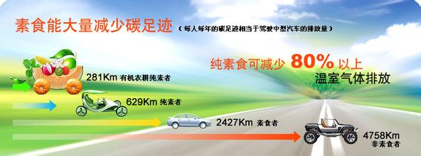 ������غô�