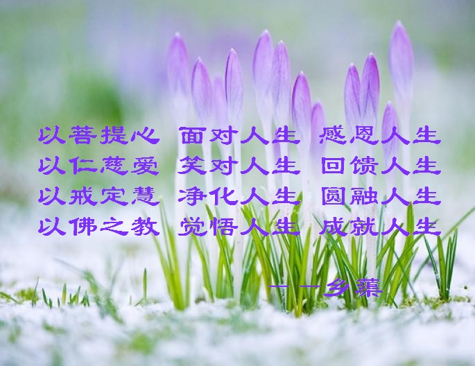 学佛感悟
