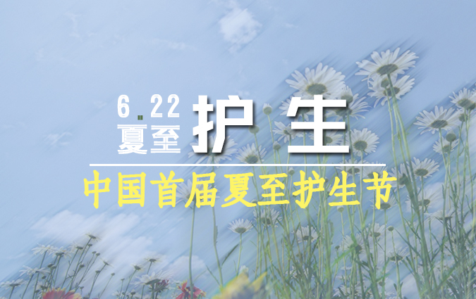 吃素放生