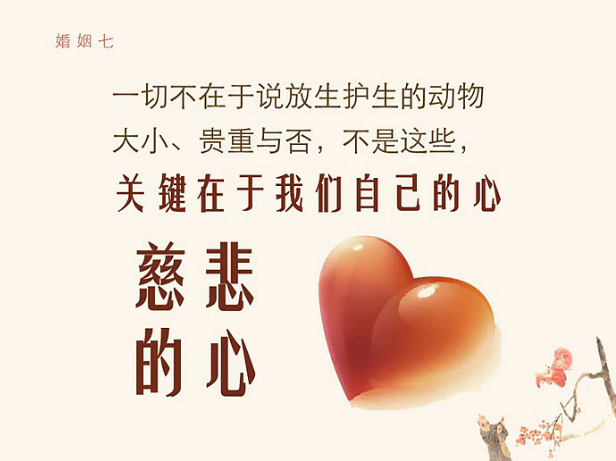 素食放生