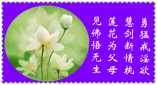 印光大师开示戒邪淫