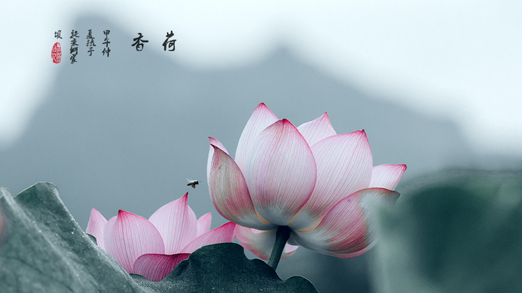 【佛教故事】一位女研究生求姻缘终满愿的心路历程