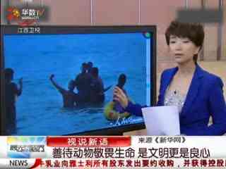 善待动物珍惜生命