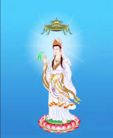 一位老师对因果的亲身体验