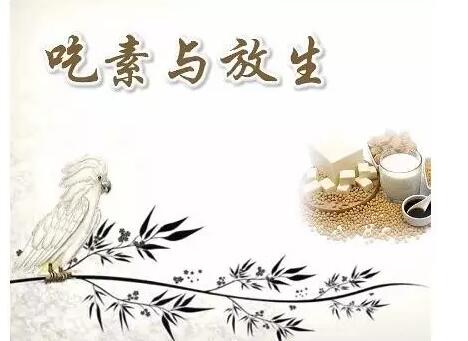 亲身经历(女性):吃素放生一年半,宿疾不治而愈