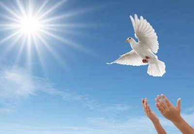 我的学佛因缘,放生改命成功分享