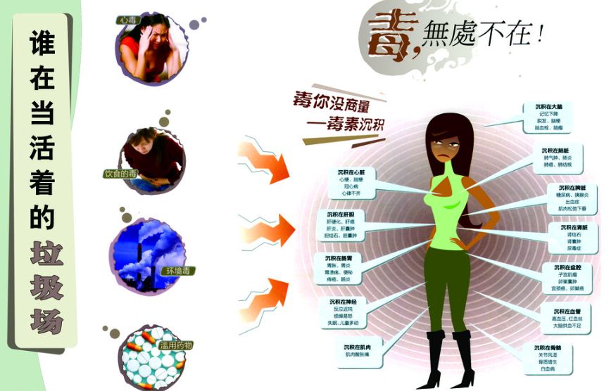 【素食文化】我吃素两年的体验