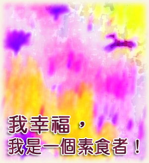素食帮我滋养出了四种美好心境