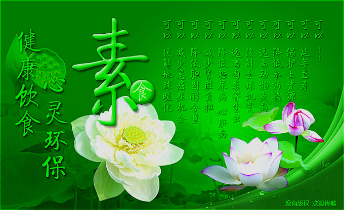 吃素可以让身体更轻盈