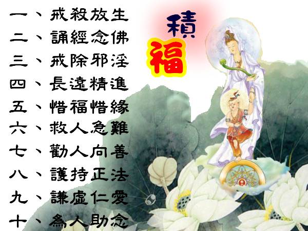 素食:妻子讲给我听的一件真实的因果故事