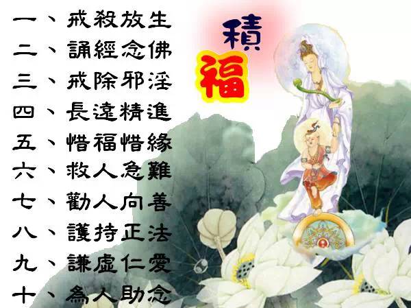 吃肉果报